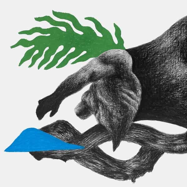 Dream The Spirit Free