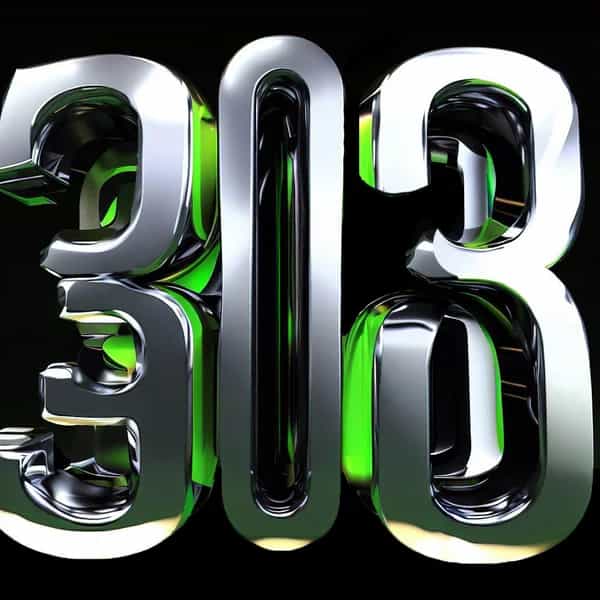 303