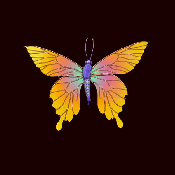 FAIRYDUST DYNAMITE