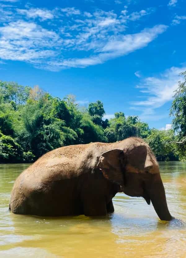 nke ọzọ
