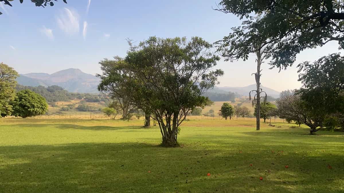 nke ọzọ