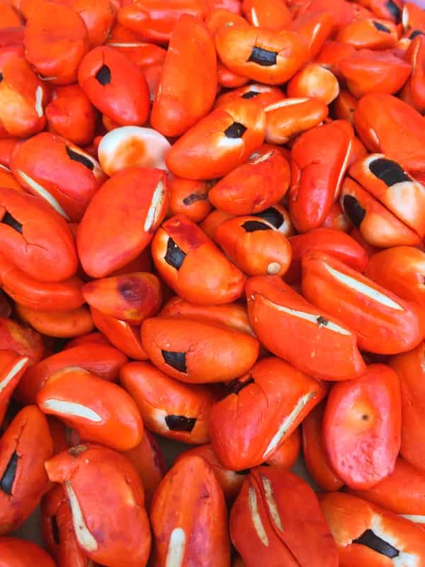 nke ọzọ - MOZ special