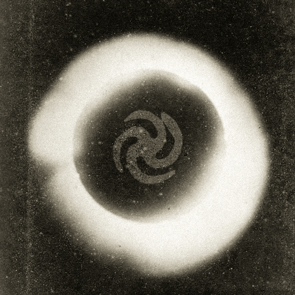 Noise Consciousness