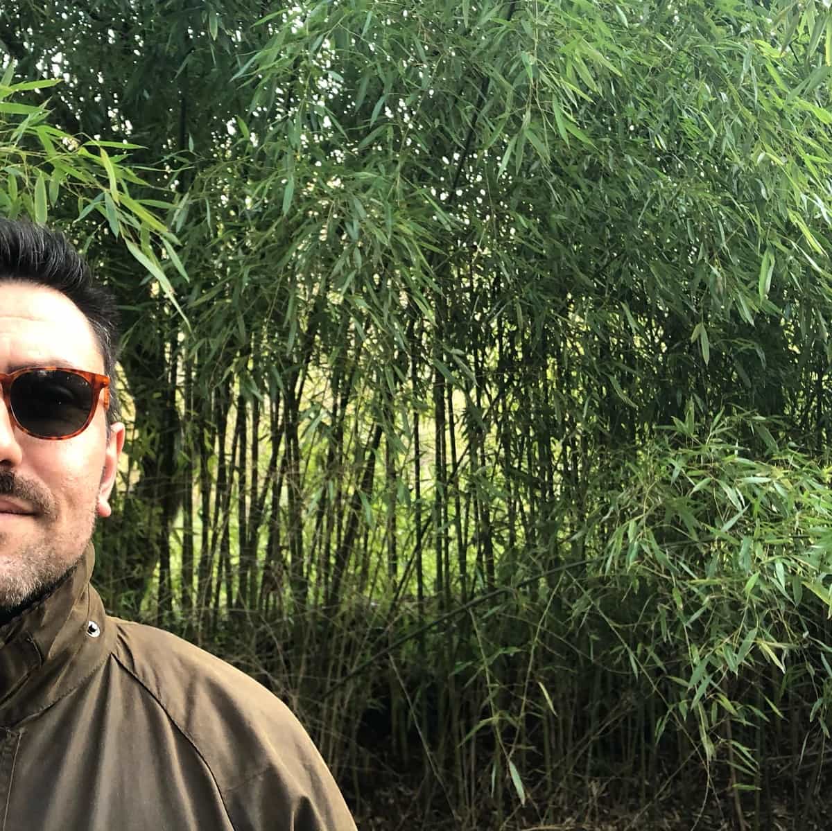 Guest Mix